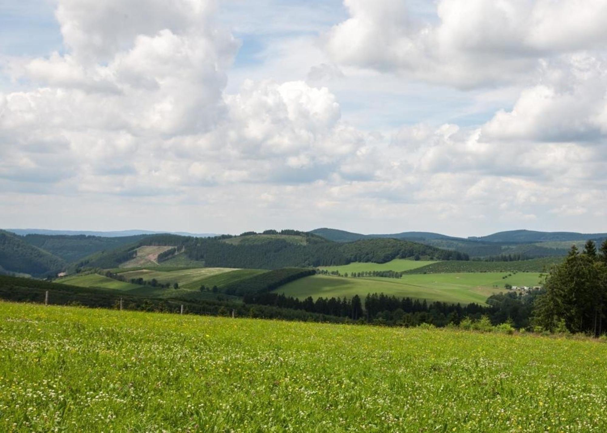 Ferienhaus Grenzweg Winterberg Buitenkant foto